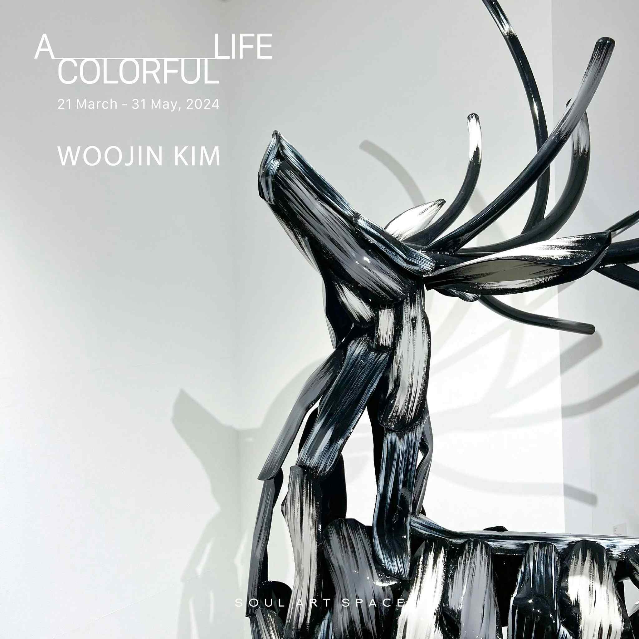 WOOJIN KIM: A COLORFUL LIFE