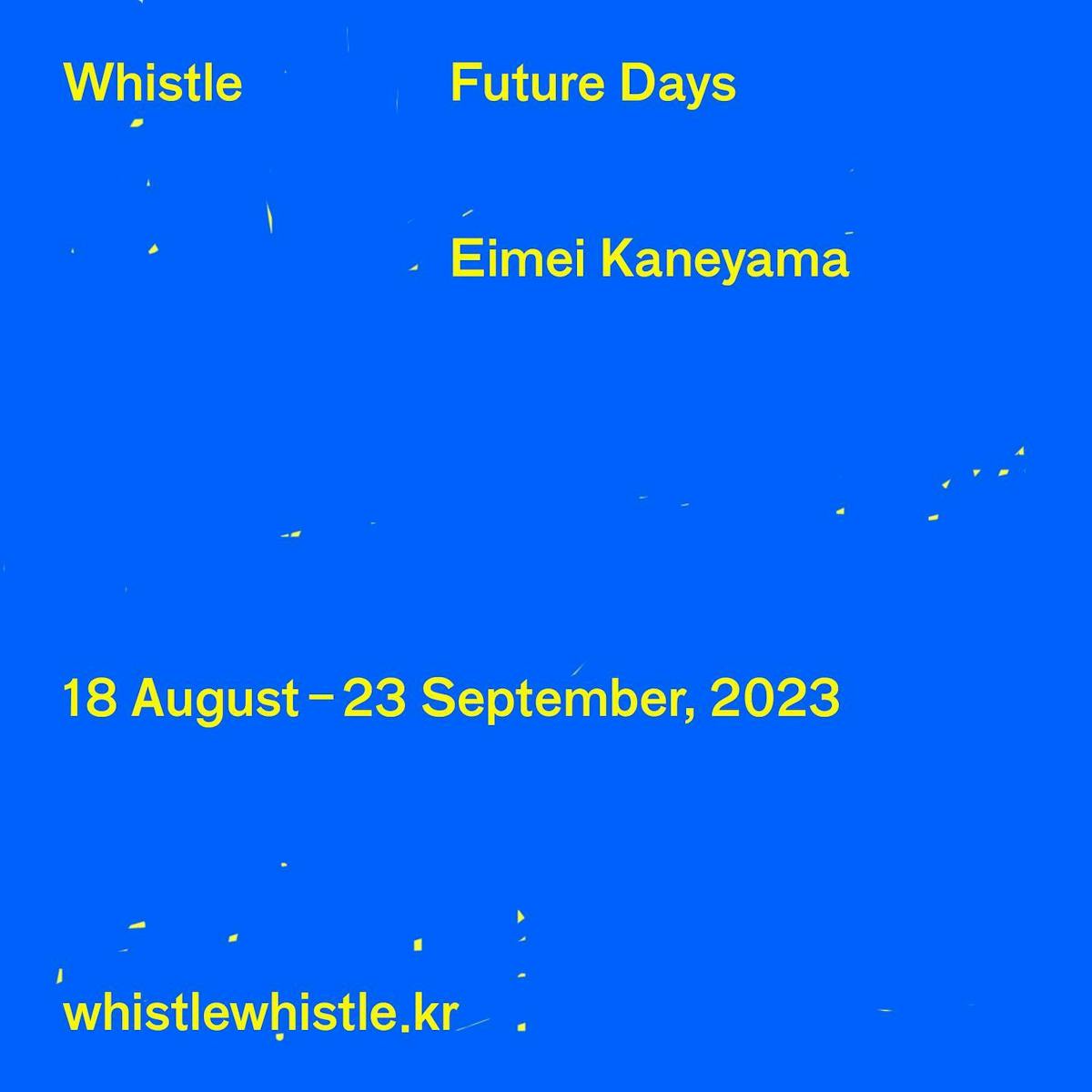 Eimei Kaneyama: Future Days