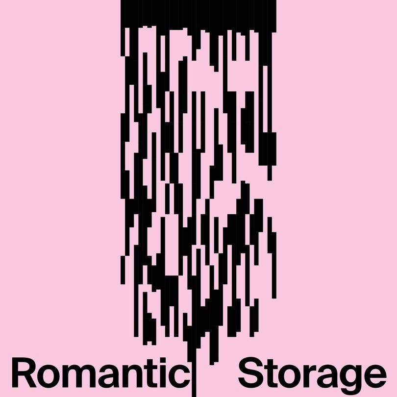 Shinae Kim: Romantic Storage