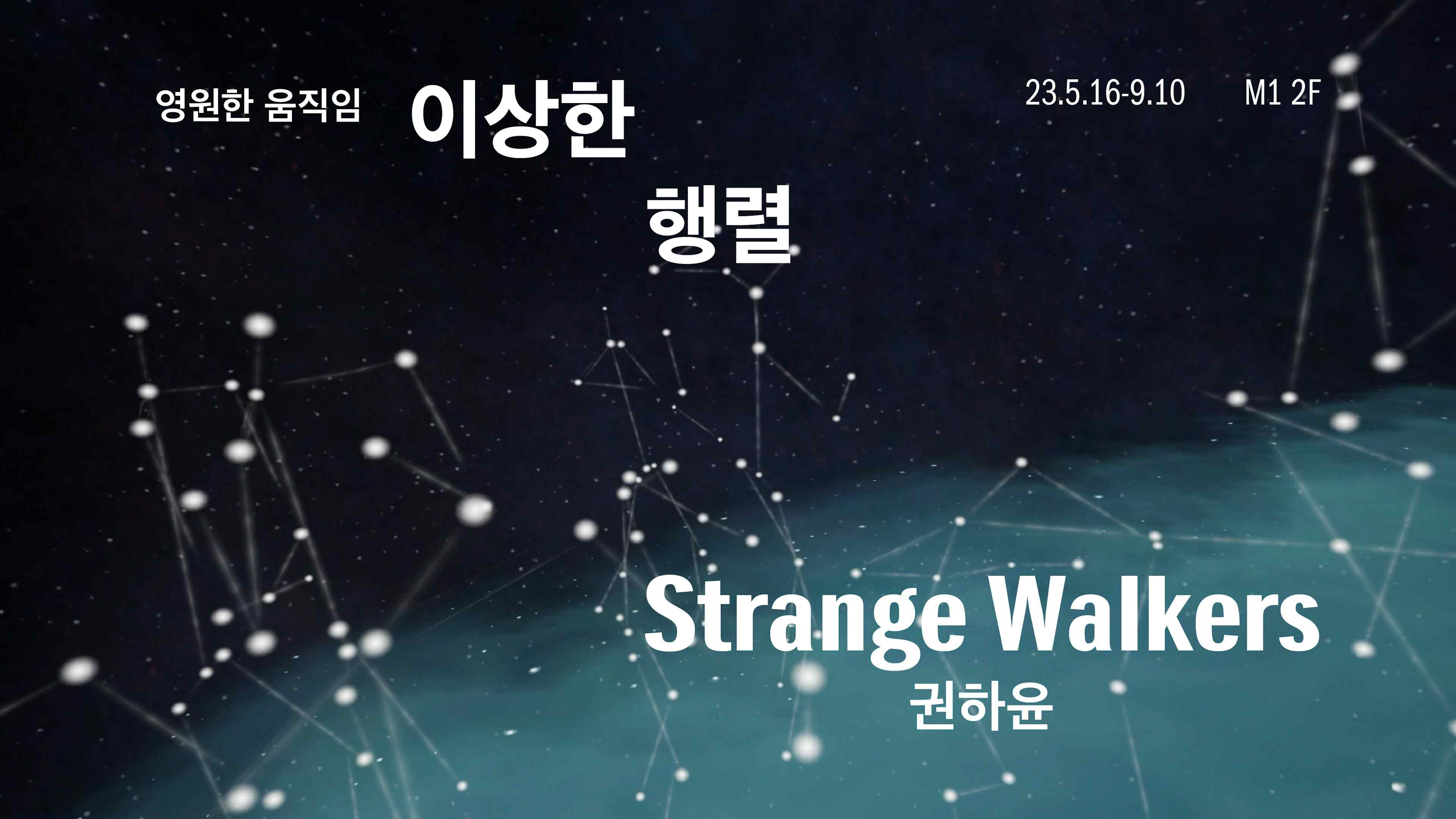 HaYoun Kwon: Strange Walkers
