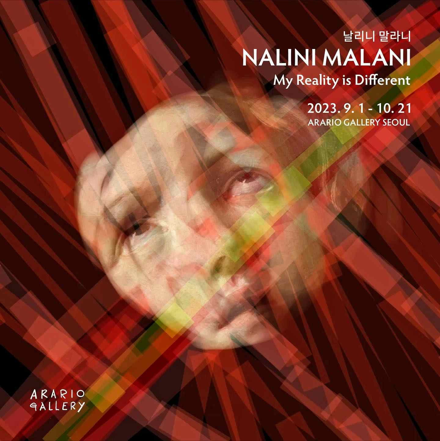 Nalini Malani: My Reality is Different